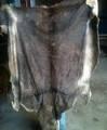 Donkey Skin