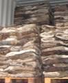 Dry Salted Donkey Skin