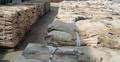 Dry and Wet Salted Donkey/Wet Salted Cow Hides /Cow Head Skin