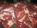 A1 Grade Halal Frozen Boneless Beef/ Buffalo Meat