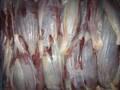 Beef Head Meat, Frozen Beef Topside Boneless Skinless