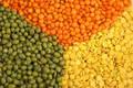 Red and Green Brown Lentils