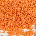 Quality Red Lentils and Yellow Lentils Supplies