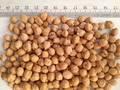  Buy  Kabuli Chickpeas/Red Lentils /Kidney Beans