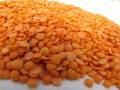 Red Split/Whole Lentils (Masoor Dal)