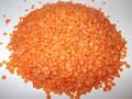 Lentils / Red Lentils / Green Lentils / Lentil