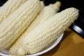 Quality Grade 1 Yellow Corn & White Corn/Maize for Human & Animal Feed