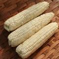 White Corn Non-GMO (White Maize)