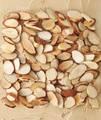Sapucaya Nut, Sapucia Nut, Shagbark  Hickory  Sliced Almonds