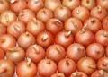 Fresh Tomato/Fresh Onion/Fresh Garlic/Fresh Ginger