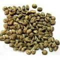 Raw Arabica and Robusta Coffee Beans