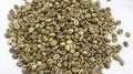 Dried Coffee Bean/  Cafe  Bean/ Robusta &  Arabica 