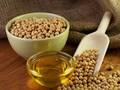 Soya Beans,Aduki Beans,Pinto Beans,Alfalfa Beans