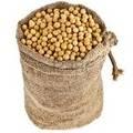  Soya  Bean for  Sale ( Export GMO & NON GMO)