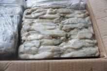 Frozen Squid Roe