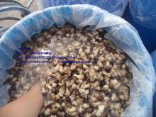 STRAW MUSHROOM IN BRINE WITH BEST QUALITY