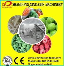 IQF fruit vegetables fluidized  tunnel   freezer 