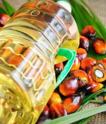 Used cooking palm oil, Used cooking Sunflower oil,..