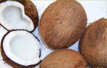 Semi Husked Coconut/ Fresh Husk Coconut origin Vietnam