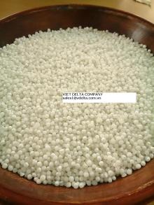 Sago seed/ Sago pearl/ tapioca pearl