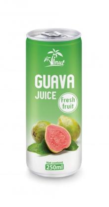 250ml Guava Juice Fresh Fruit