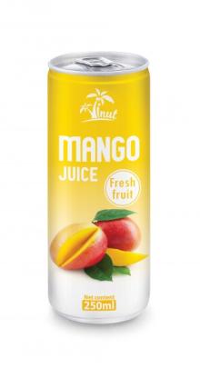 250ml Mango Juice Fresh Fruit