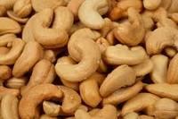 Quality Cashew Nuts, W240, W320, W450