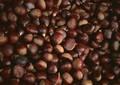 High Quality chestnuts