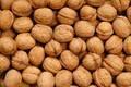 Fresh Walnut in Shell
