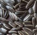 High Quality Sunflower Seeds