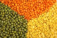 Red, Green and Brown Lentils