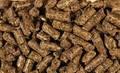 High Grade Sugar Beet Pulp Pellets