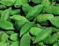 Green and Black Cardamom Seeds
