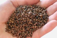 Pure Proanthocyanidin Grape Seed Extract Grape Seed