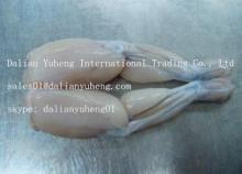 FROZEN  FROG  LEG (FARMED AND PRODUCED BY THE FACTORY)