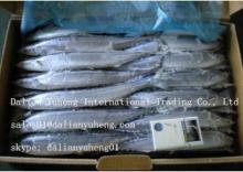 FROZEN PACIFIC  SAURY 