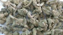 DRIED GINGER WHOLE
