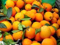  Fresh   Orange ,  Citrus   Fruit  , Mango , Pomegranate