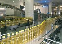 Sunflower Oil / Organic Sunflower Oil