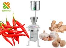 Wet Masala Grinder FP-06