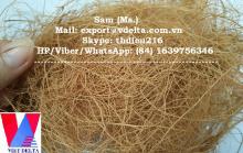 Vietnam Coconut Fibre/ Coconut Fiber