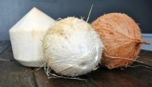 Husk Mature Coconut / Dried  Whole  Coconut