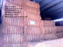 Coconut Fiber From Vietnam_0084 975584679