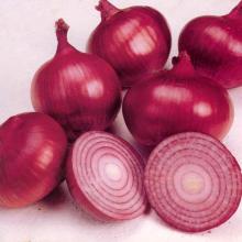  fresh  vegetables South Africa wholesale  red   fresh   onion 