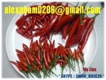 FRESH SMALL CHILLI, HOT RED PEPPER
