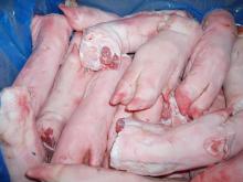 pork feet