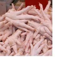  Chicken  Feet, Wing s, Drumstick s,Tighs,Filet,Available Grade A Nd B