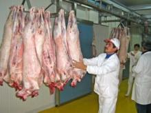Halal  whole   lamb  CCS