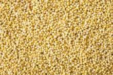 quality Millet
