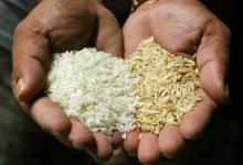 Organic Rice